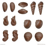 Chocolate Mould 3D Seashells with Recipe Card