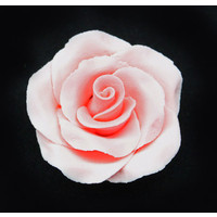 Rose Large 50mm  Pink Hangsell (ea)