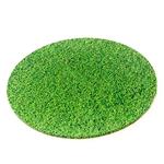 5mm MDF Board GRASS Round 10in