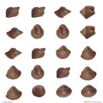 Chocolate Mould Sea Shells Small (Ea)