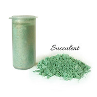 Pearlescent Lustre  Succulent