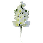 Calla Lily Single Bunch 