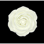 White Camelia 75mm  (Box of 16)