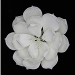 White Magnolia Large 110mm (1)