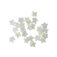 Flower 5 Petal Baby White 1cm Hangsell 25pce