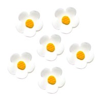 Blossom 2cm White Hangsell (12 pce)