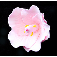 Hibiscus Pink Small 50mm (Box 25)