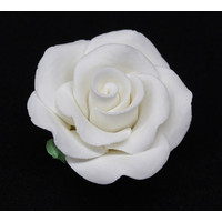 Rose Large 50mm White With Calyx Hangsell (ea) 