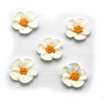 Flower 5 Petal WHITE Medium 2.5cm Box 150