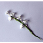 Baby's Breath Filler (100)
