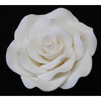 Rose  Korean XL 7cm (Box 16)