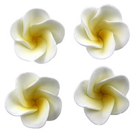 Flower  Frangipani Small 30mm Lemon (Box 32)