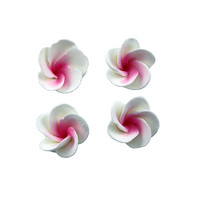 Frangipani Petite 25mm Pink Hangsell (6pk)