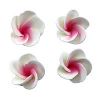 Flower  Frangipani Small 30mm Pink (Bx 32)