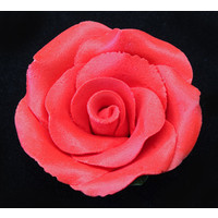 Rose  Large 50mm Red (Box 18)