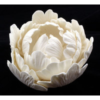 Peony Elegance Rose White 100mm (Box 9)