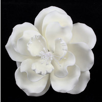 Dog Rose with White Stamen 100mm Each