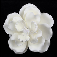 Dog Rose with White Stamen 100mm (Box 12)