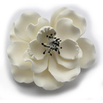 Dog Rose black Stamen (1)