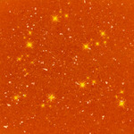 Edible Glitter  Orange
