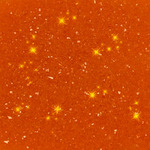 Edible Glitter Orange