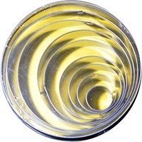 Cutter Tin Set 8pc Round Shapes 11cm (Ea)