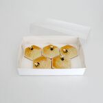 Clear Lid Biscuit Box 10x7x2in High - Loyal