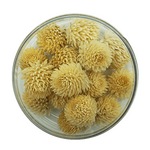 Amaranath Ball -   White 15 Pcs