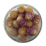 Amaranath Ball -   Rosa 15 Pcs