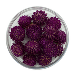 Amaranath Ball - Purple 15 Pcs