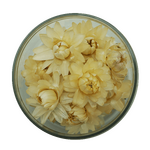 Strawflowers - White 15 pcs