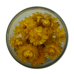Strawflowers - Yellow 15 pcs