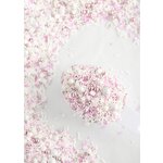 Sweetapolita Rose Colored Glasses 200g