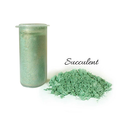 Pearlescent Lustre  Succulent