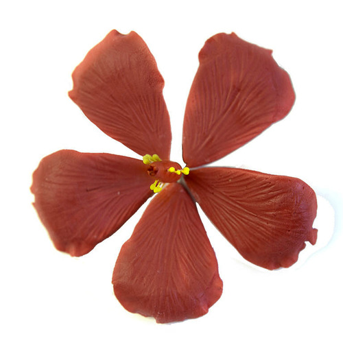 Hibiscus Medium Red (12pc)