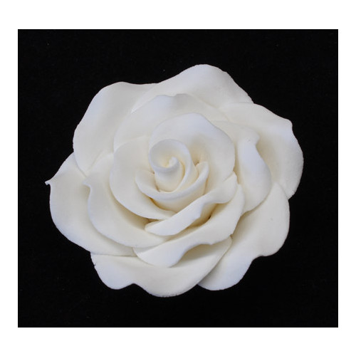 Rose Classic 65mm (Box 25)