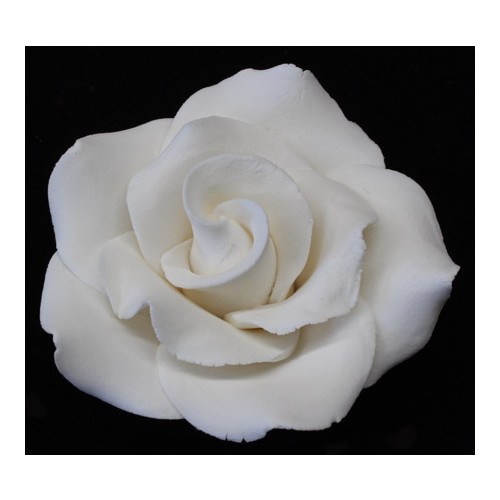 Rose Classic 70mm (Box 16)