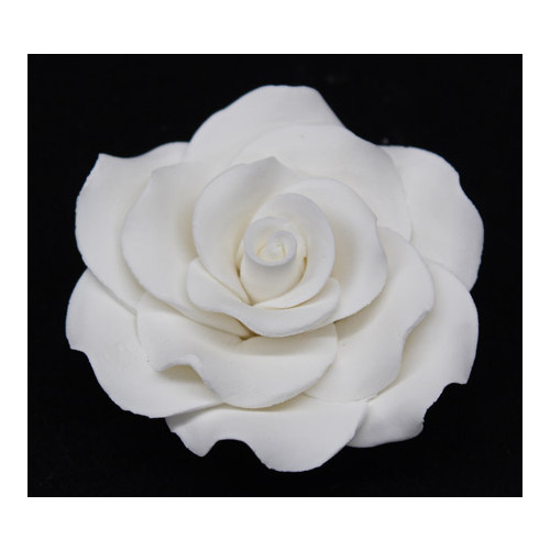 Rose Classic 70mm (Box 16)