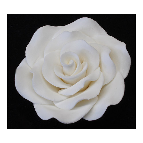 Rose  Korean XL 7cm (Box 16)