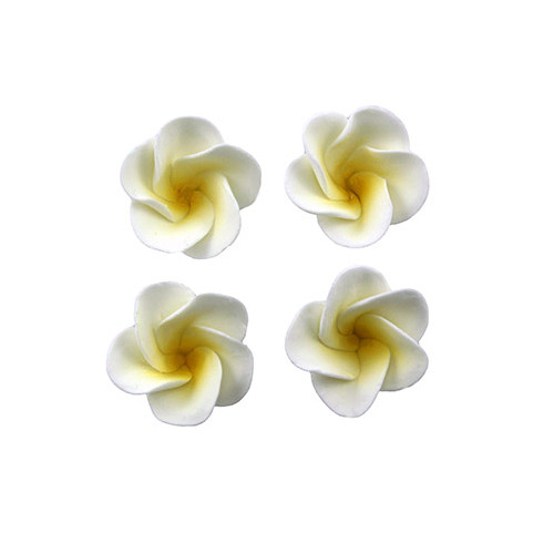 Flower Frangipani Petite 25mm Lemon H/S (6pk)