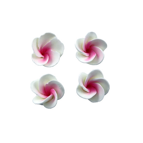 Flower  Frangipani Petite 25mm Pink (Box 66)