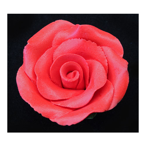 Rose  Large 50mm Red (Box 18)
