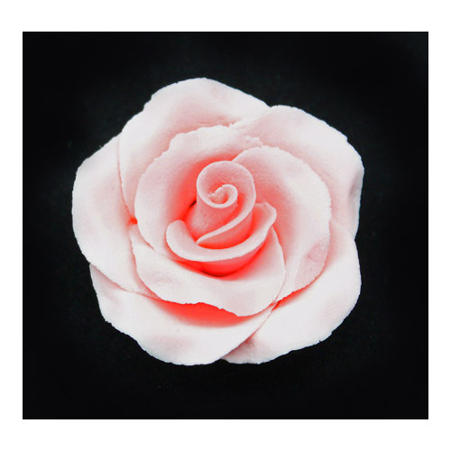 Rose Large 50mm  Pink Hangsell (ea)