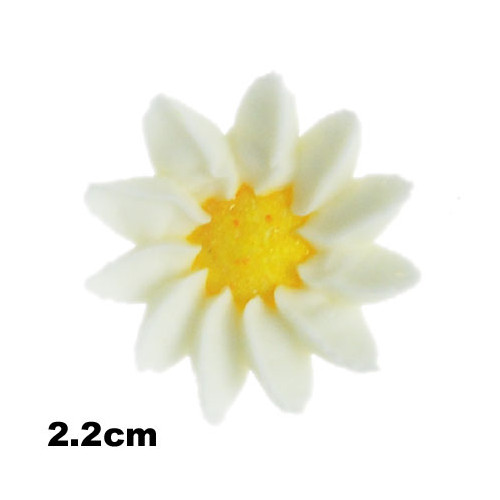 Flower Mini Daisy 22mm White (Box 100)