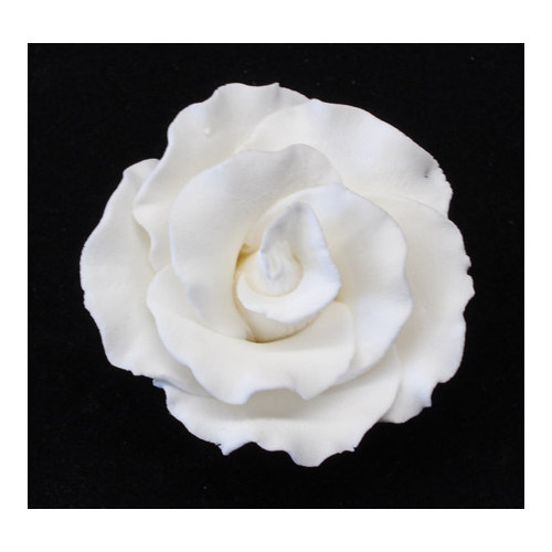 English Rose 50mm (Box 18)