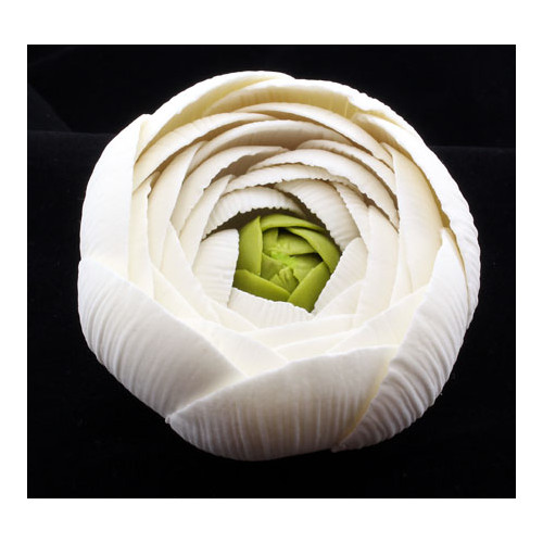 Ranunculus Rose White Medium 50mm (Box 12)