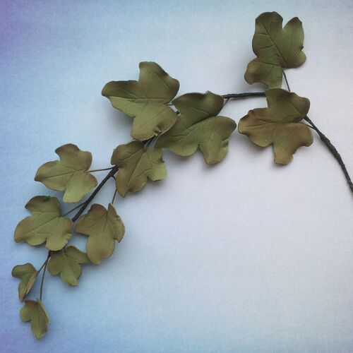 FMM Cutter - Ivy Leaf Set