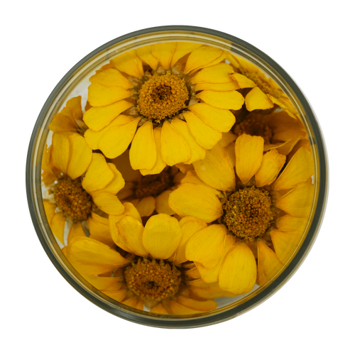 Special Flowers - Yellow Daisies 15 Pcs