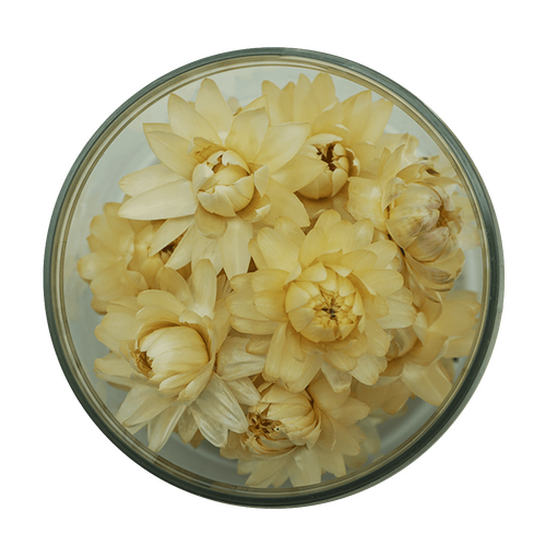 Strawflowers - White 15 pcs
