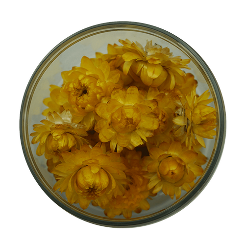 Strawflowers - Yellow 15 pcs
